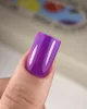 Гель-лак, 10 мл Let`s spesial PLUM/198 Gel Polish NAILSOFTHEDAY - 6