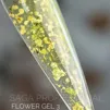 Гель із сухоцвітами, 5 мл №03 Flower Fairy Gel SAGA Professional - 2