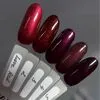 Гель-лак, 10 мл №005 Red Love Gel Polish SAGA Professional  - 3