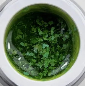 Гель із сухоцвітами, 5 мл №06 Flower Fairy Gel SAGA Professional