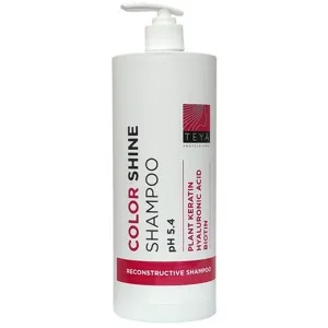 Шампунь для збереження кольору фарбованого волосся (pH 5.4), 1000 мл COLOR SHINE Shampoo TEYA Professional 