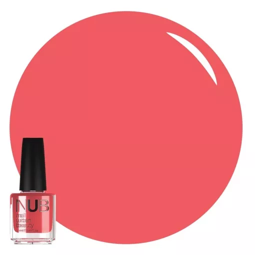 NUB Лак для нігтів 14мл №010