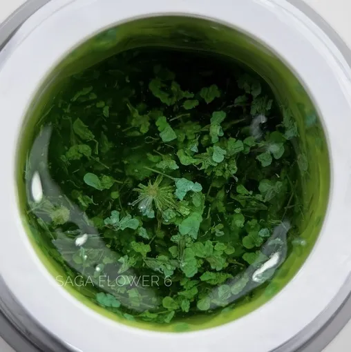 Гель із сухоцвітами, 5 мл №06 Flower Fairy Gel SAGA Professional