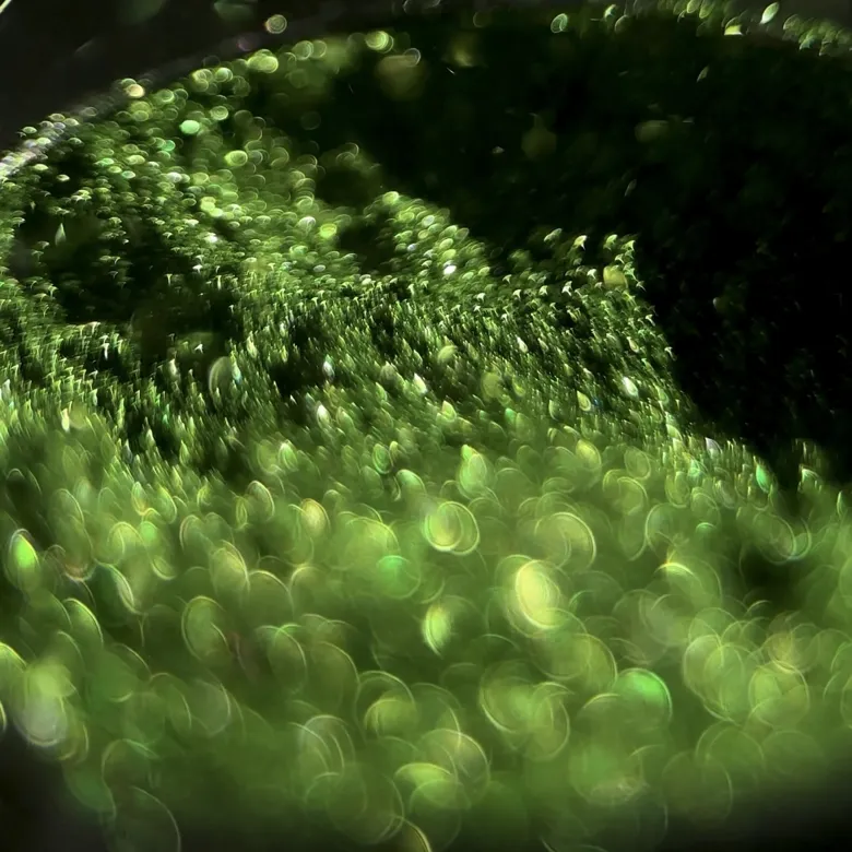 Металева хромована втирка, 0,5 г №12 Metallic Powder ADORE